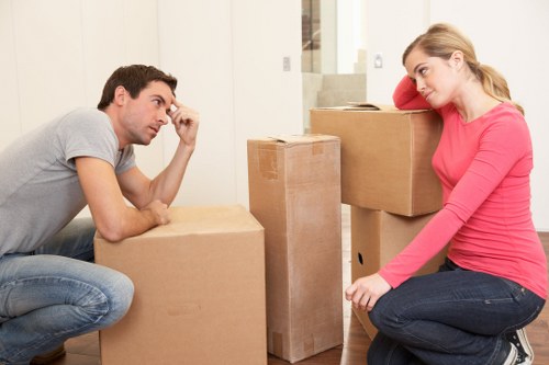 Professional movers handling boxes and home items in Dulwich